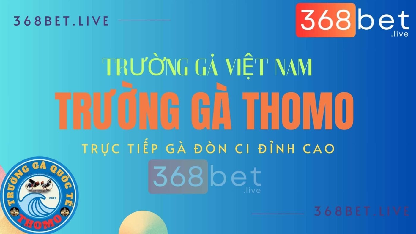 trường gà thomo trực tiếp gà đòn c1