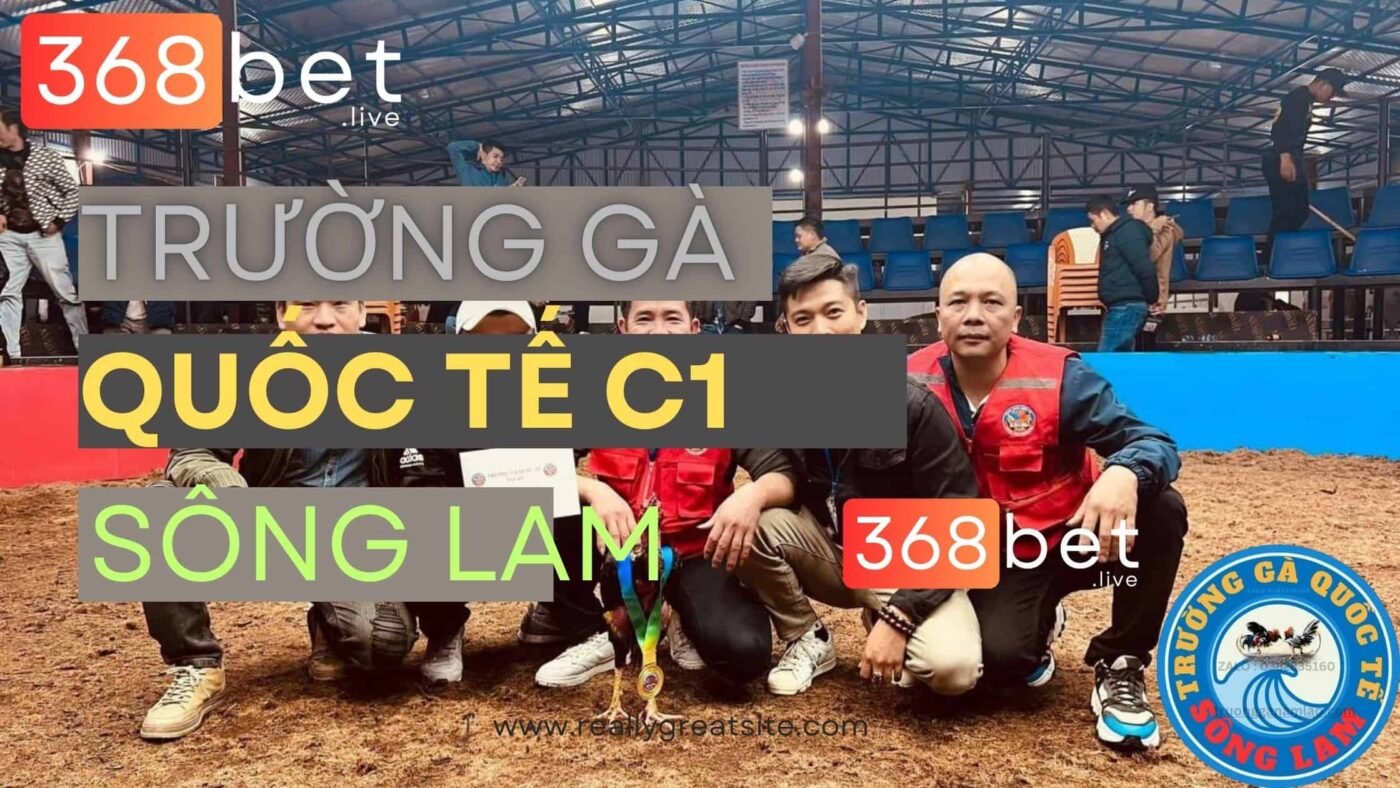 trường gà quốc tế c1