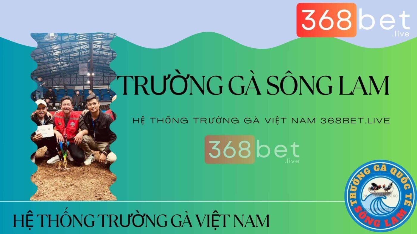  hệ thống trường gà việt nam