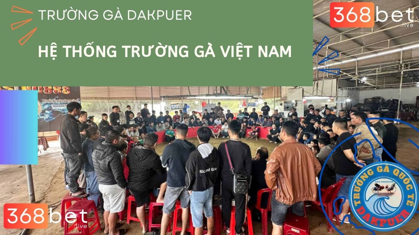 đá gà trực tiếp hôm nay tại dakpor