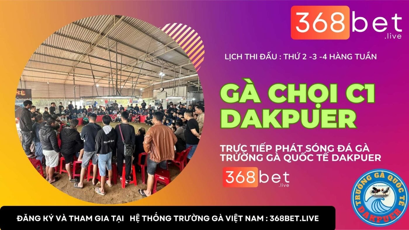 gà chọi c1 dakpuer 888